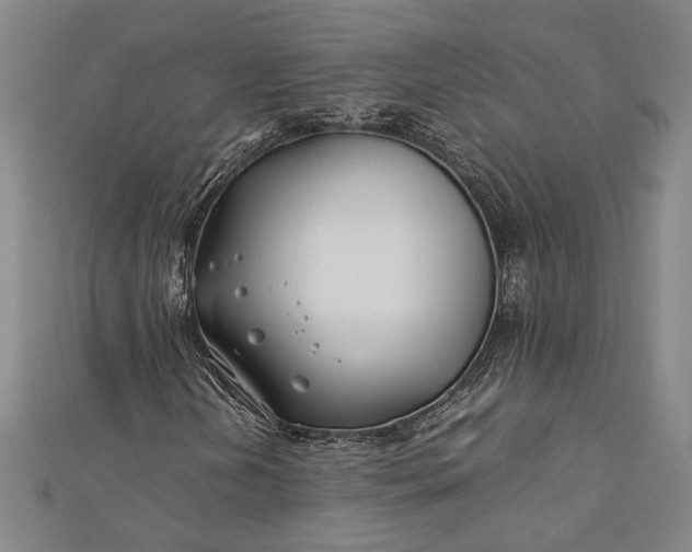 X0000112371202200908271310