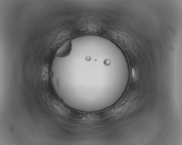 X0000112371203200908271310