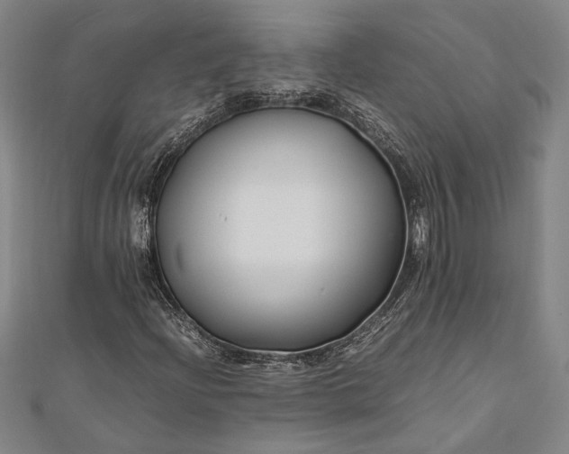 X0000112371204200908271310