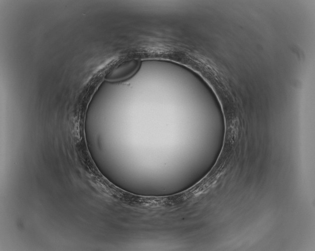 X0000112371205200908271310