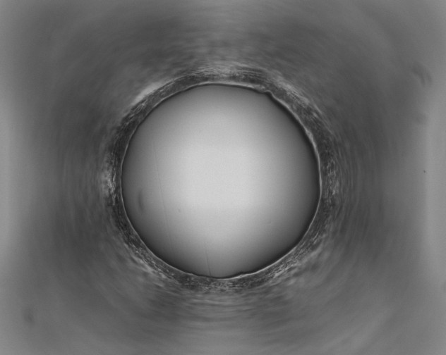 X0000112371206200908271310