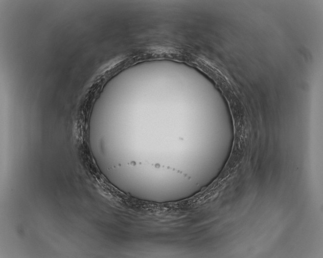 X0000112371207200908271310