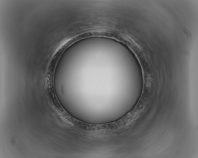 X0000112371208200908271310