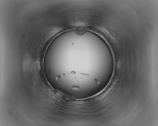 X0000112371209200908271310