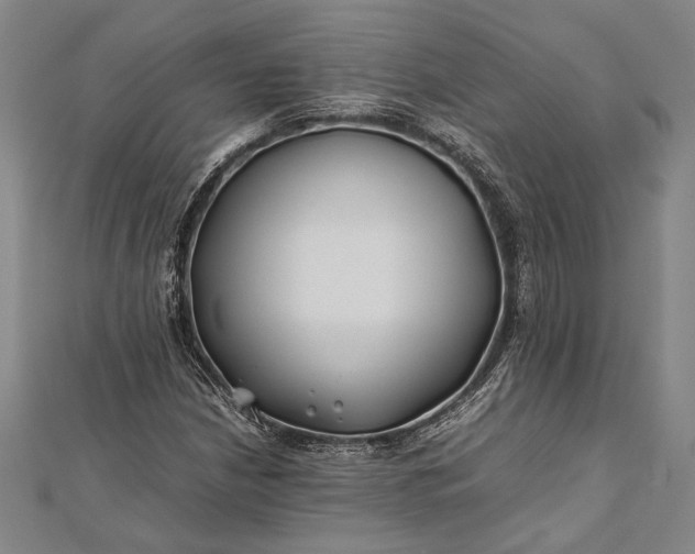 X0000112371210200908271310