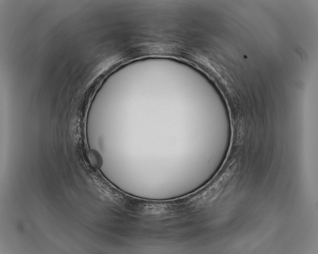 X0000112371211200908271310