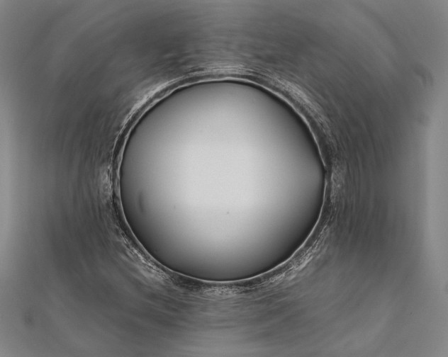 X0000112371212200908271310