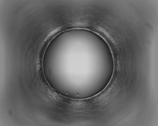 X0000112371213200908271310