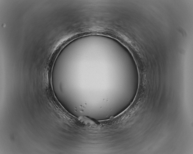 X0000112371214200908271310