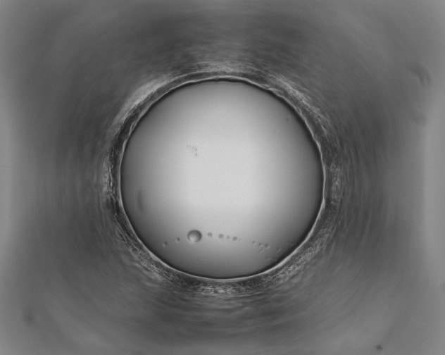 X0000112371215200908271310