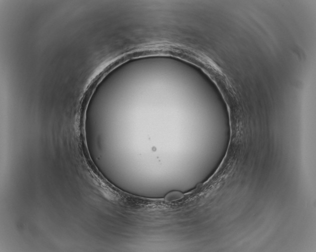 X0000112371216200908271311