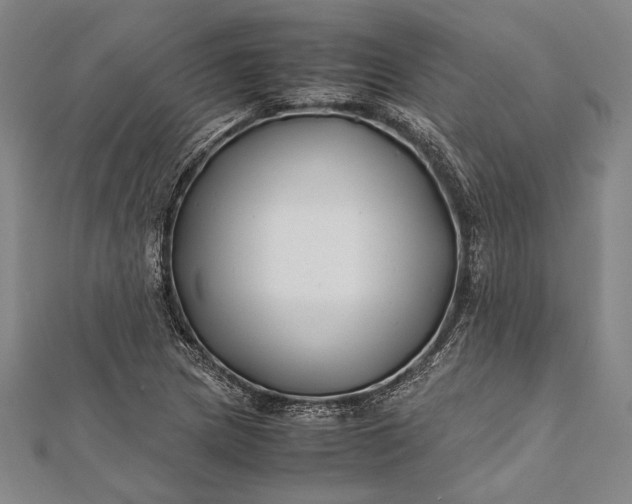 X0000112371217200908271311