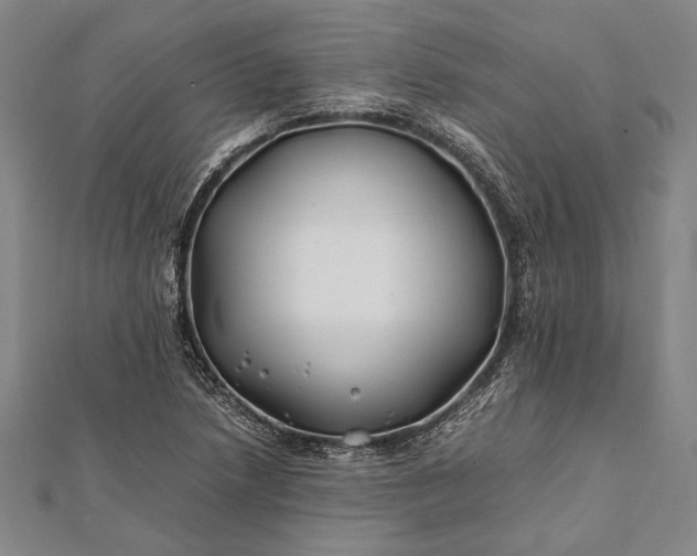 X0000112371218200908271311