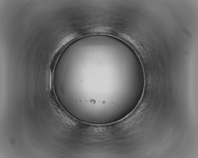 X0000112371219200908271311