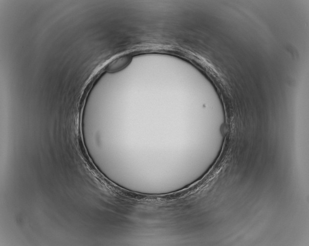 X0000112371220200908271311