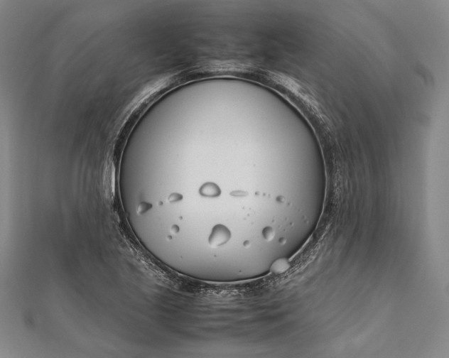 X0000112371221200908271311