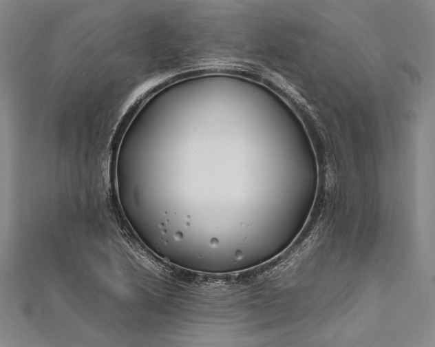 X0000112371222200908271311