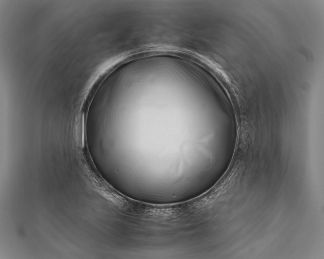 X0000112371223200908271311