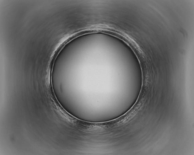 X0000112371224200908271311