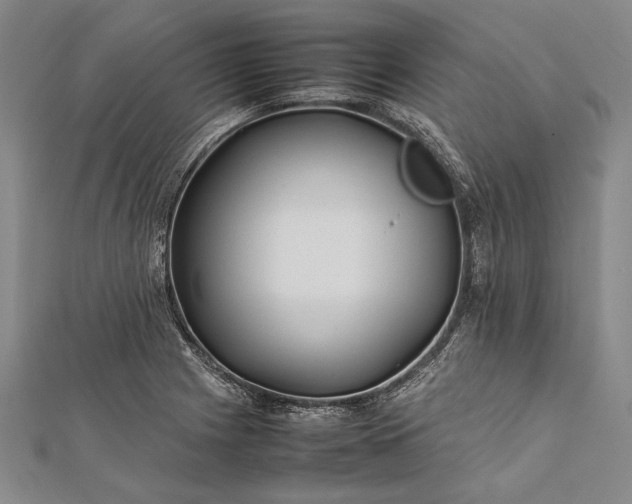 X0000112371225200908271311