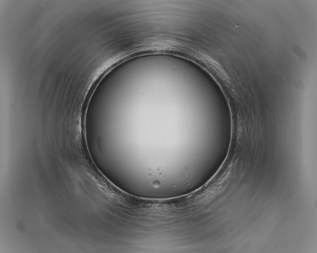 X0000112371226200908271311