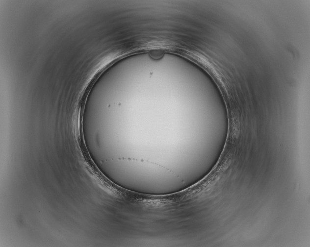 X0000112371227200908271311