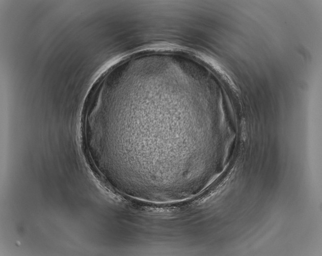 X0000112371229200908271311