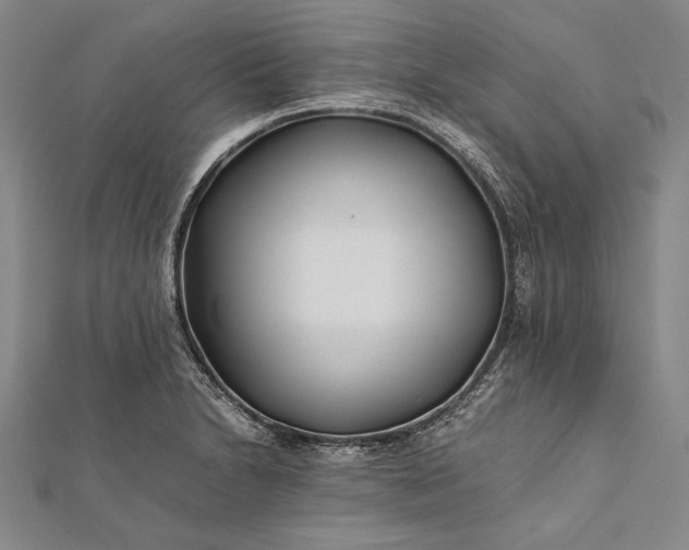 X0000112371230200908271311