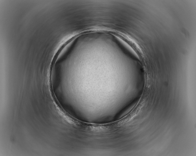 X0000112371231200908271311