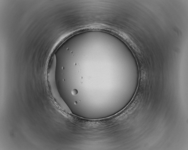 X0000112371232200908271311