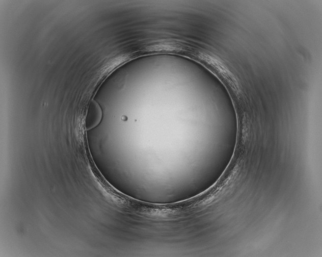 X0000112371233200908271311