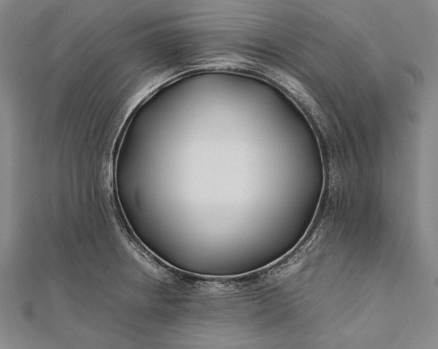 X0000112371234200908271311