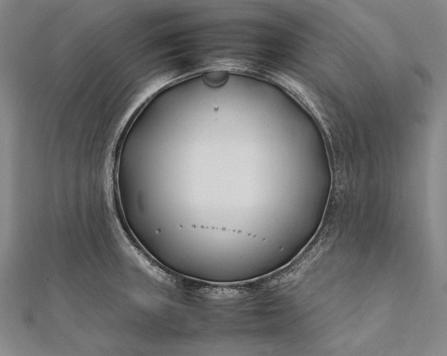 X0000112371235200908271311