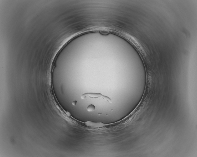 X0000112371236200908271311