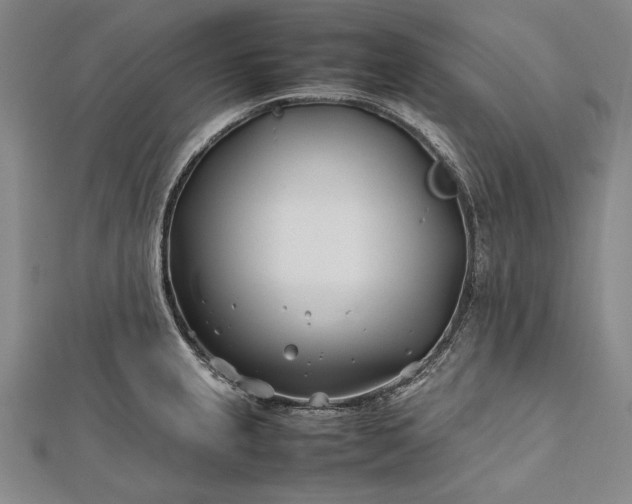 X0000112371237200908271311