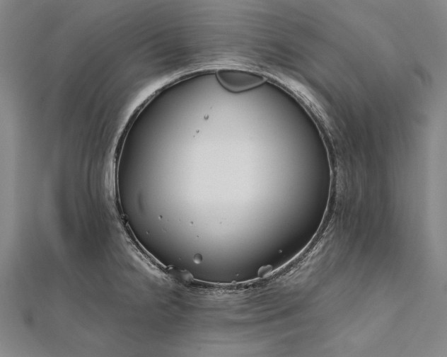 X0000112371238200908271311