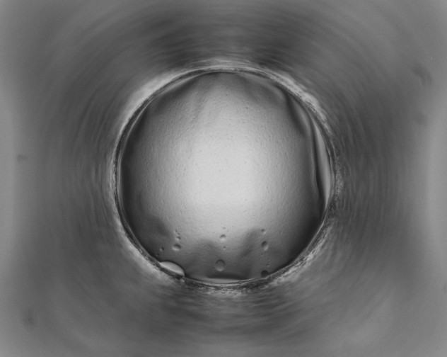 X0000112371239200908271311