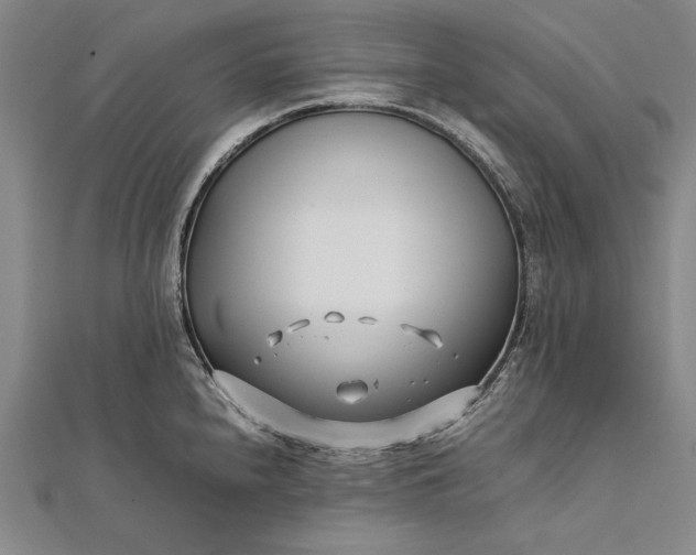 X0000112371240200908271311