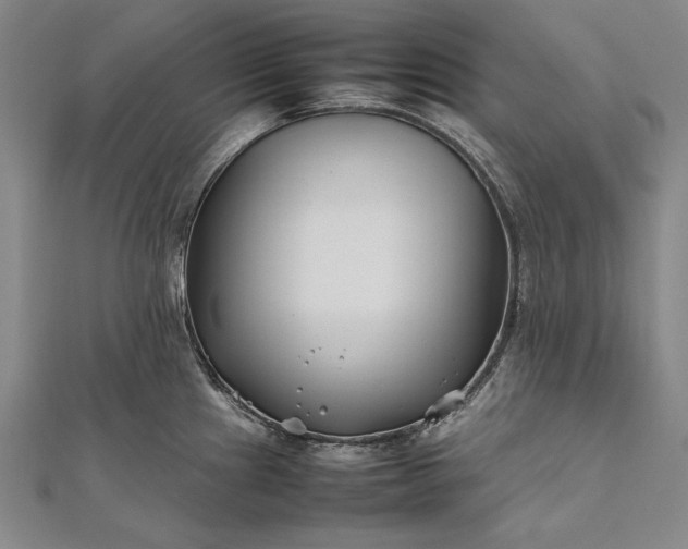 X0000112371241200908271311