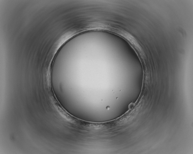 X0000112371242200908271311