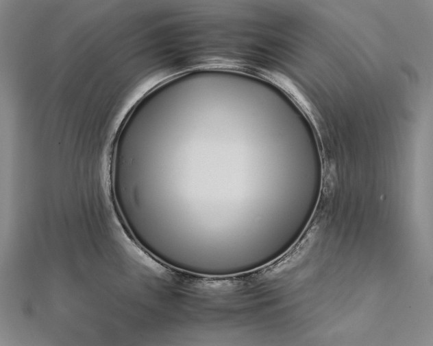 X0000112371243200908271311