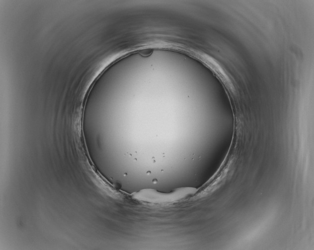 X0000112371244200908271311