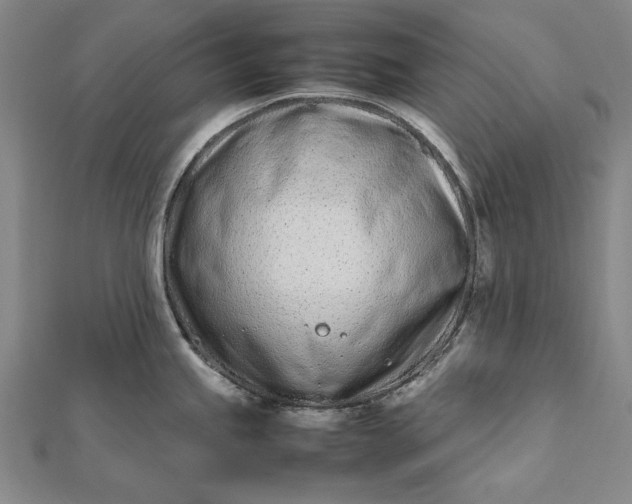 X0000112371245200908271311