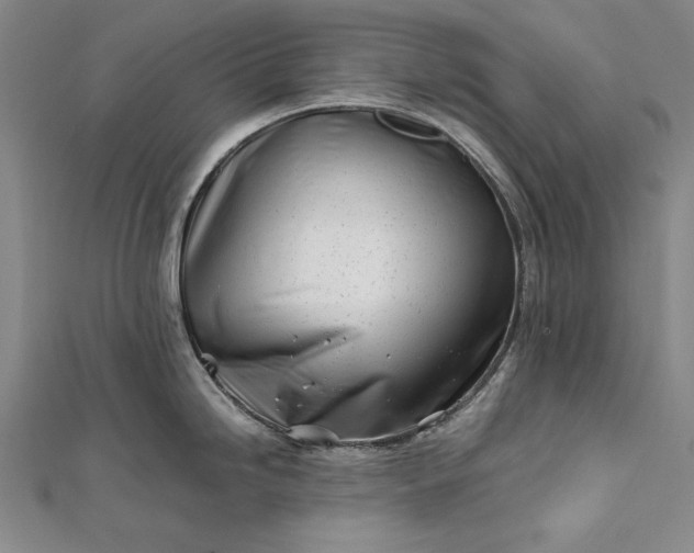 X0000112371246200908271311