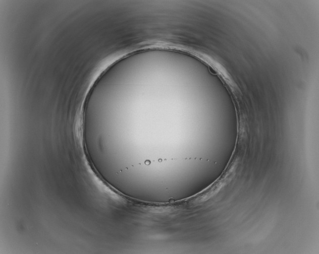 X0000112371247200908271311