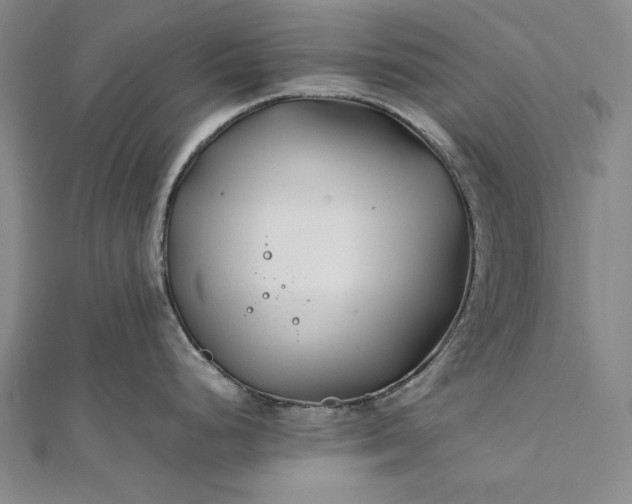 X0000112371248200908271311