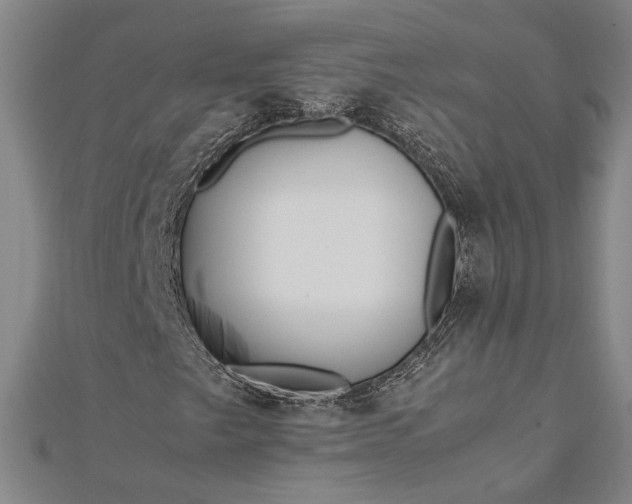 X0000112371249200908271310