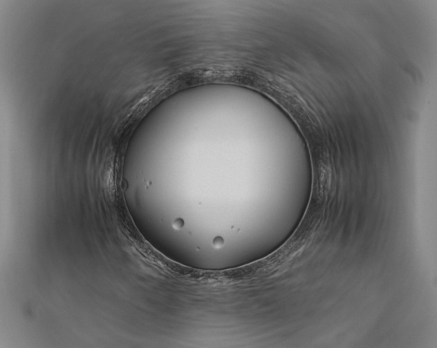 X0000112371250200908271310