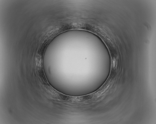 X0000112371251200908271310