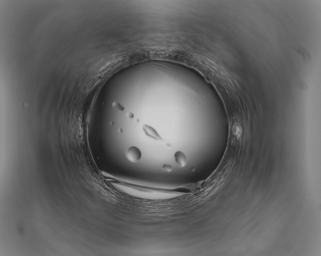 X0000112371252200908271310